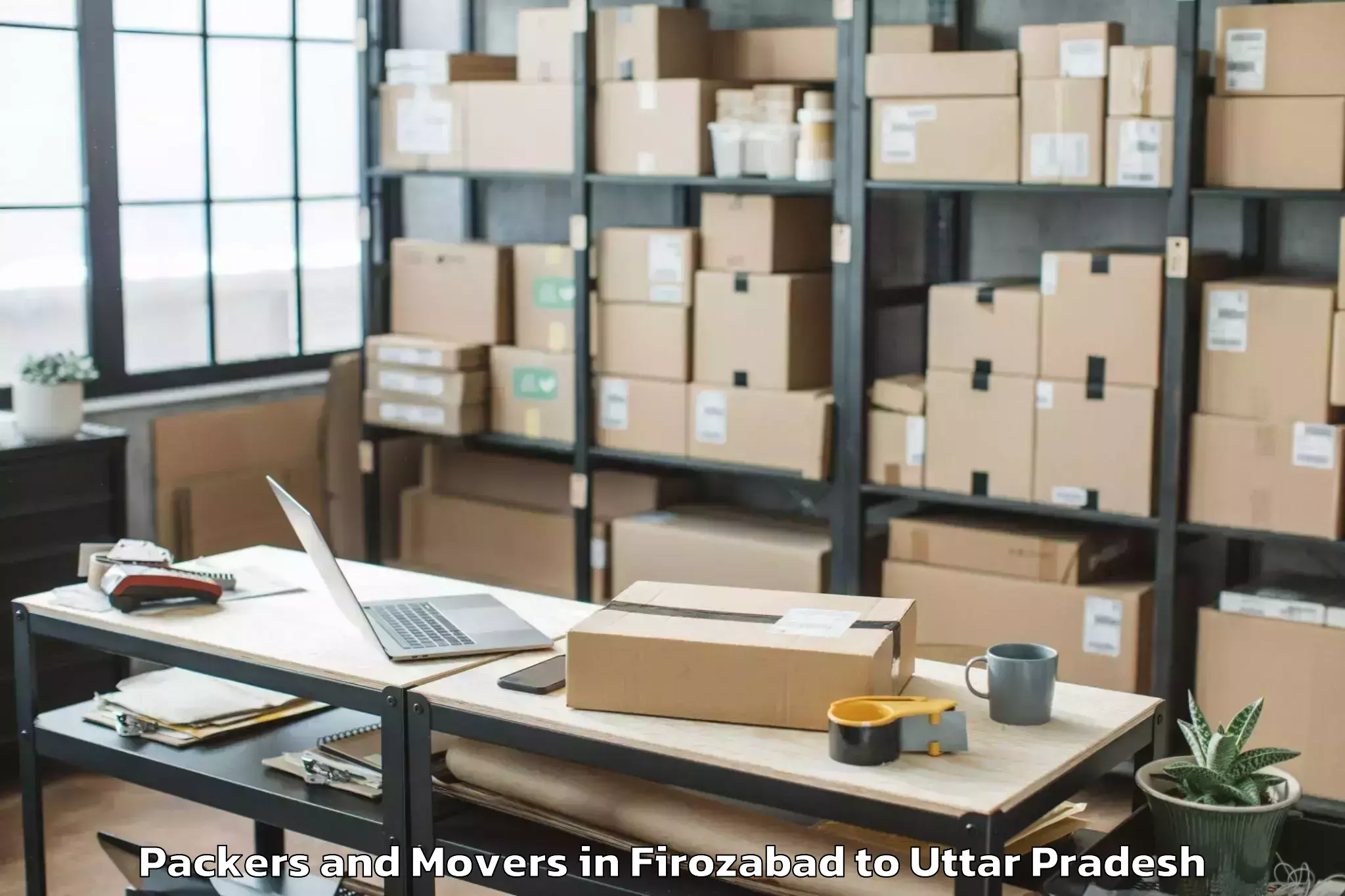 Professional Firozabad to Dibai Packers And Movers